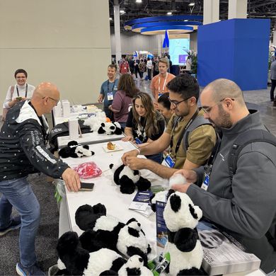TEAM-Pandas.jpg
