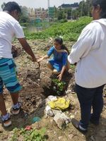 Pledge1-4-400x533 Pledge1-4-400x533